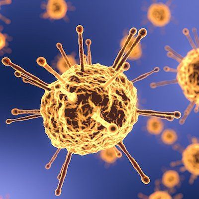 Anexo-contrato-suspender-condonar-modificar-renta-por-coronavirus