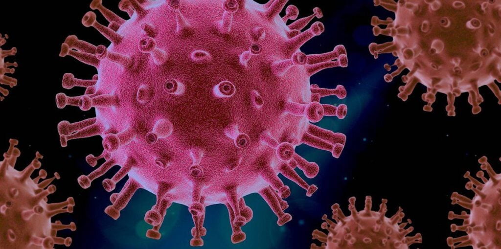 modelo de permiso para ir a trabajar en estado de alarma por coronavirus (COVID-19)