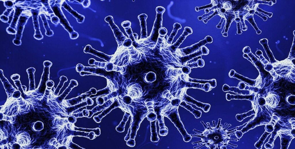 Modelo de Prórroga extraordinaria de Arrendamiento por Coronavirus